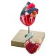 Human Heart Model, 2 parts