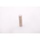 Neodymium Magnetic Disks Pack 10